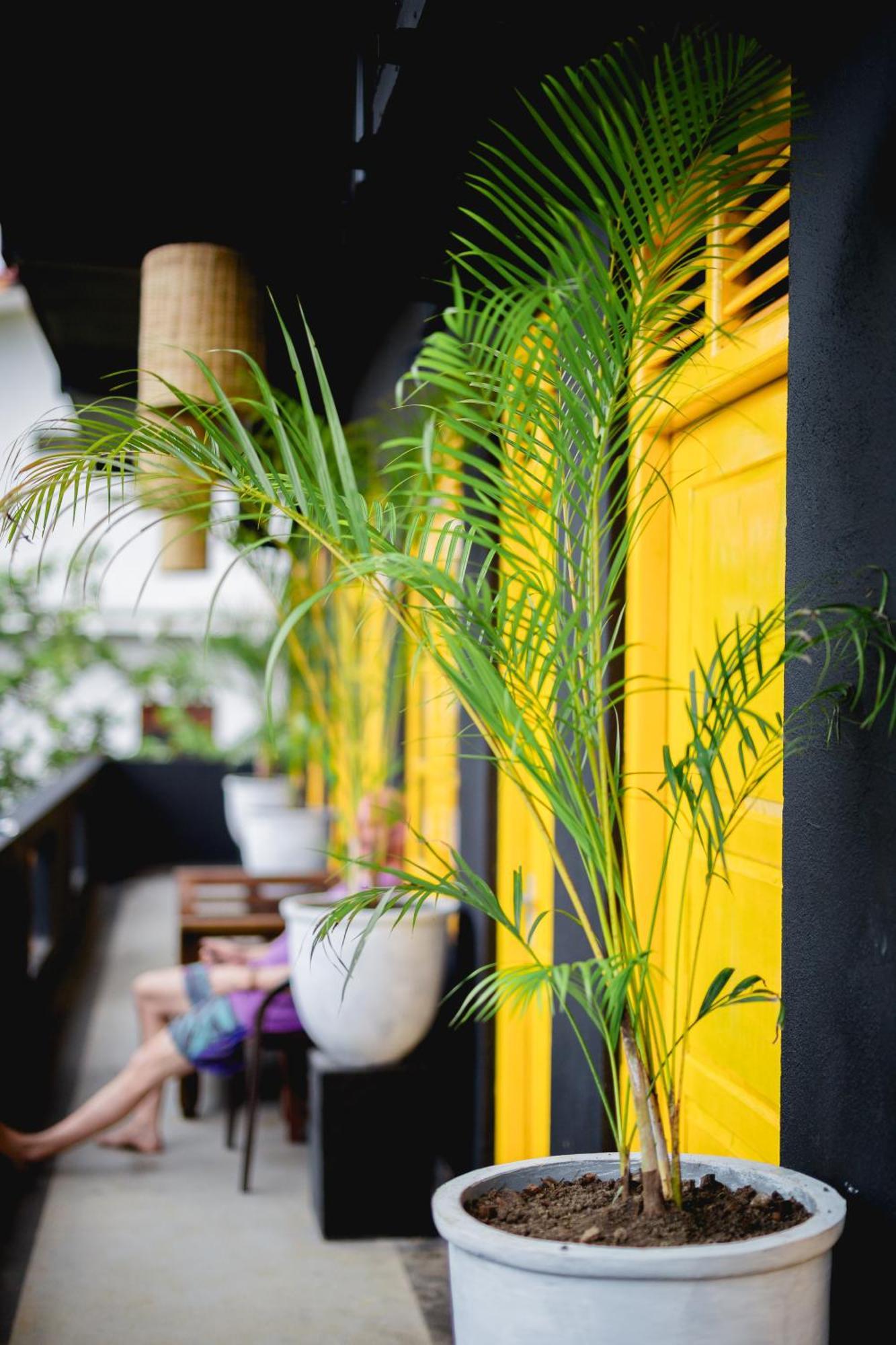 Sugar Hostel Weligama - Coliving & Coworking Exterior photo
